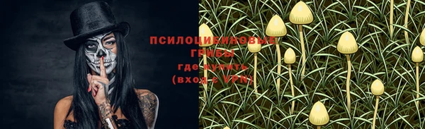 ешки Нефтегорск