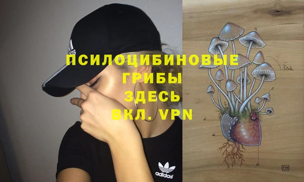 ешки Нефтегорск